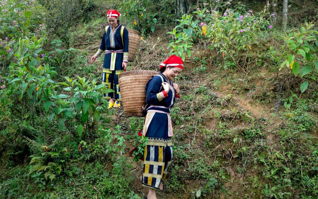 por-que-se-tensa-el-musculo-popliteo-al-caminar-cuesta-abajo-causas-diagnostico-funcional-y-ejercicios-correctivos